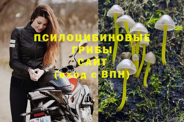 мяу мяу мука Дмитровск
