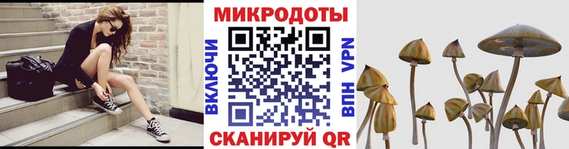 Галлюциногенные грибы ЛСД  shop клад  Петухово 